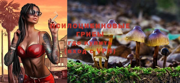 гидропоника Осташков