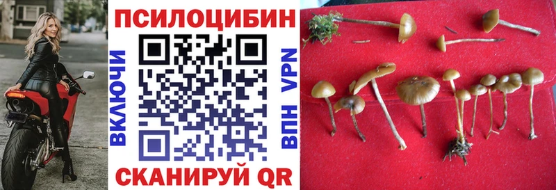 Галлюциногенные грибы мухоморы  даркнет как зайти  Феодосия 